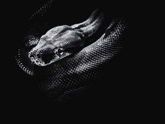Naga | Behind the Myth