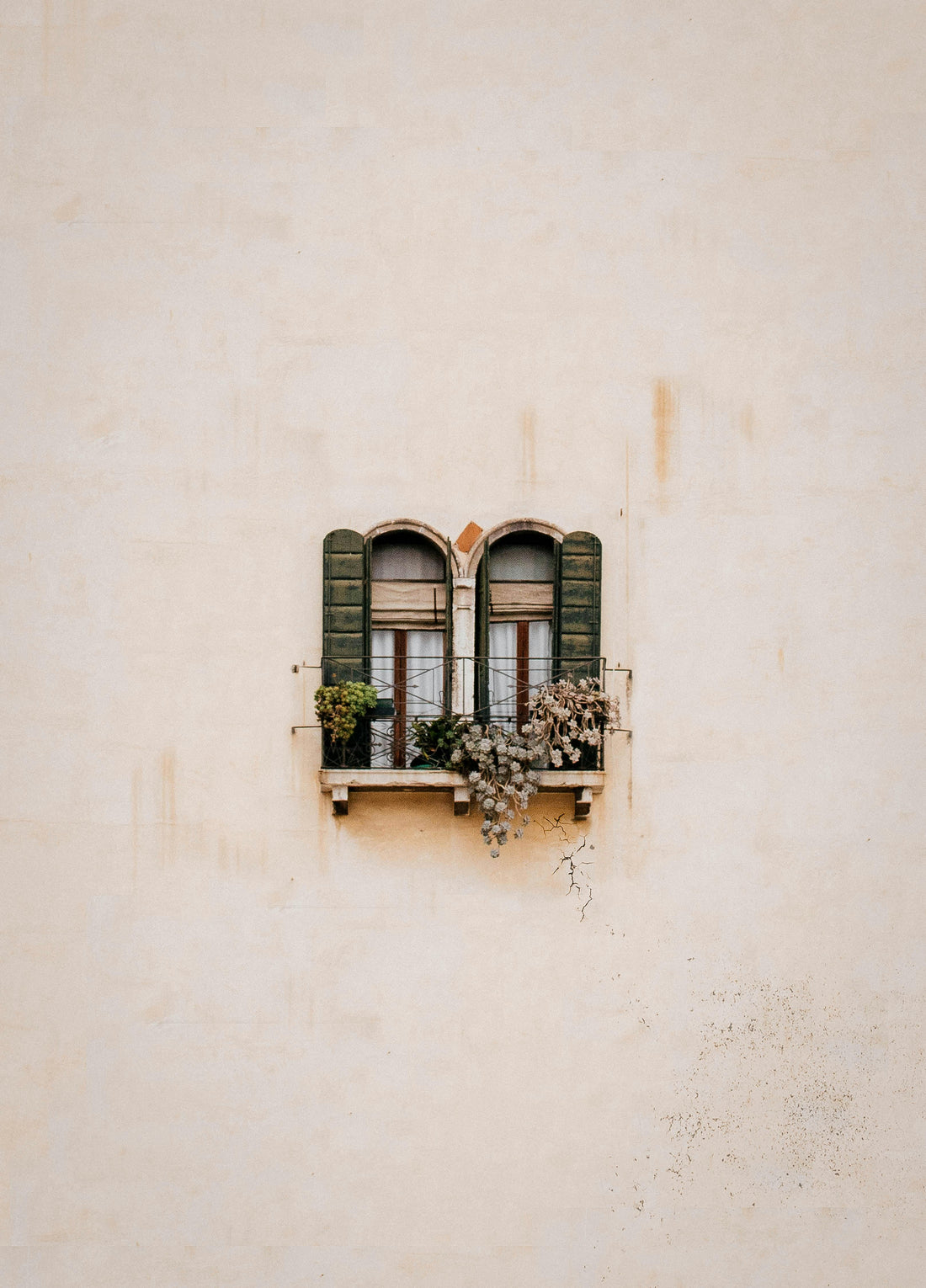 A minimal beige wall with a small, arched double window featuring green shutters and a narrow balcony. Several overgrown and dried plants spill from the balcony, with visible wall cracks beneath. The aesthetic is weathered, quiet, and slightly rustic.
