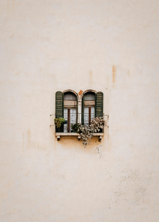 A minimal beige wall with a small, arched double window featuring green shutters and a narrow balcony. Several overgrown and dried plants spill from the balcony, with visible wall cracks beneath. The aesthetic is weathered, quiet, and slightly rustic.
